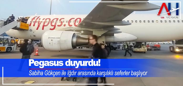 pegasus-havayolları