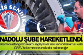 thy-teknık-ozcelık-is