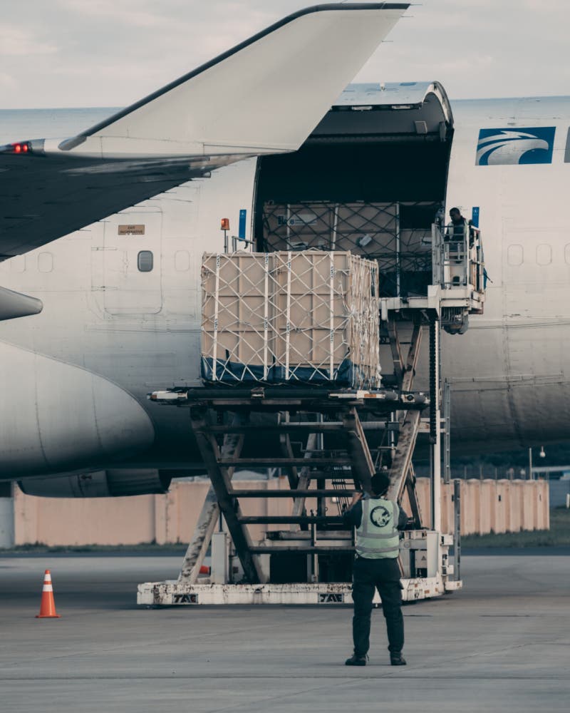 30 beyaz gergedan B747 ile Ruanda’ya taşındı 5 Haberler B747 Son Dakika Havacılık Haberleri | Türk Hava Yolları, Pegasus, Sunexpress, Corendon, Havacılık, Havayolları, Havalimanları, Havaalanları, THY, Hostes, Pilot, Uçak, Kabin memuru, SHGM, DHMİ Rhino crates are loaded onto the aircraft in South Africa ©Martin Meyer African Parks 800x1000 1
