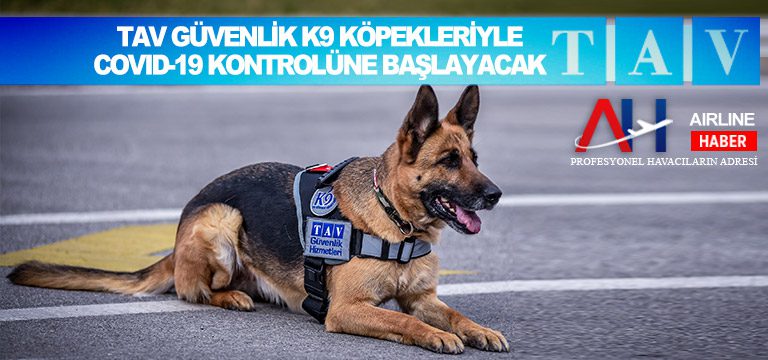 TAV Güvenlik K9 köpekleriyle COVID-19 kontrolüne başlayacak