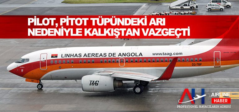 Pilotlar,-pitot-tüpündeki-arı-nedeniyle-kalkıştan-vazgeçti