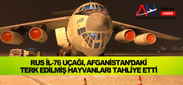 Rus İl-76 uçağı, Afganistan’daki terk edilmiş hayvanları tahliye etti