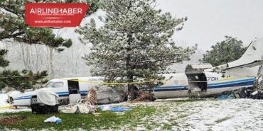 53 köpeğin karıştığı uçak kazasında üç kişi yaralandı