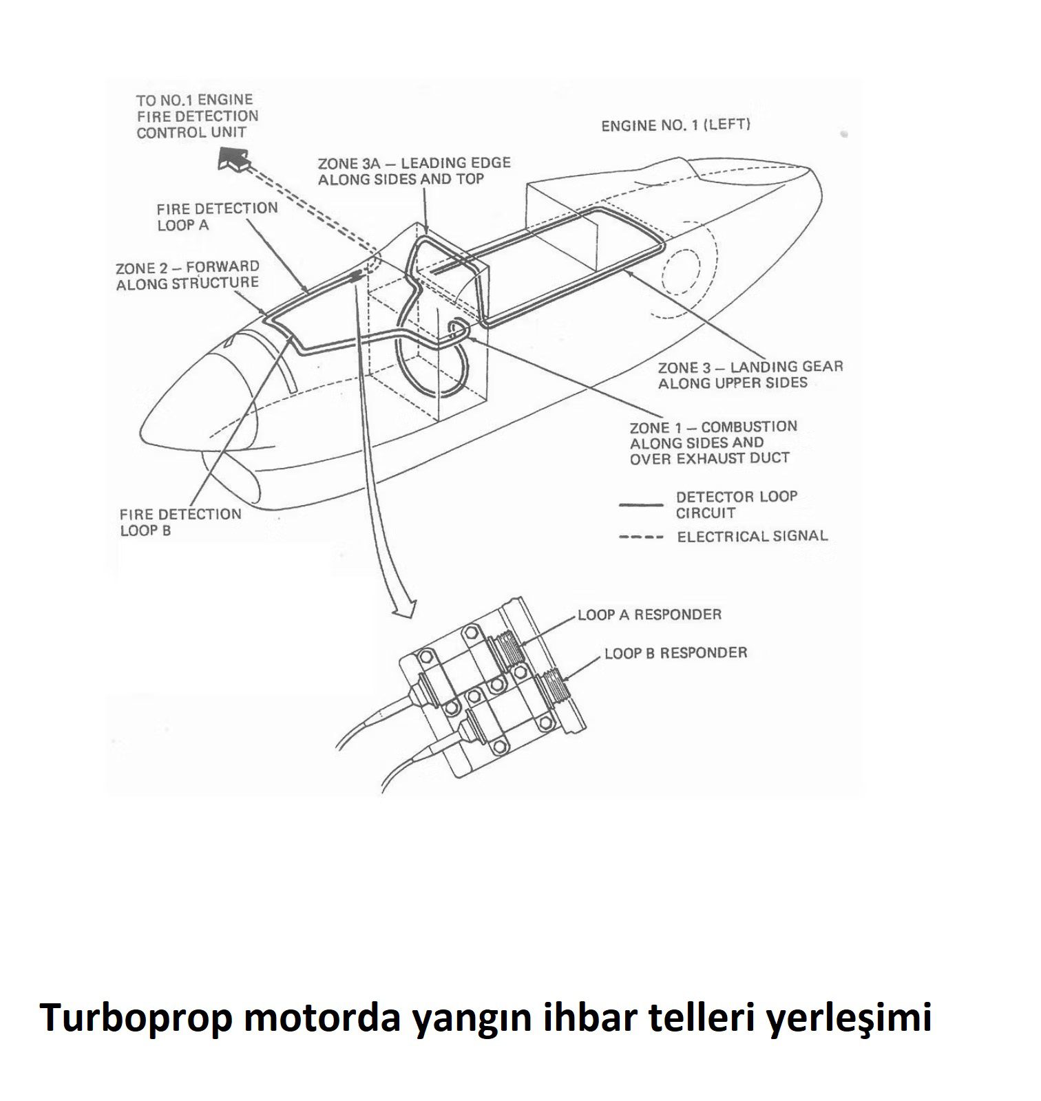 Son Dakika Havacılık Haberleri | Türk Hava Yolları, Pegasus, Sunexpress, Corendon, Havacılık, Havayolları, Havalimanları, Havaalanları, THY, Hostes, Pilot, Uçak, Kabin memuru, SHGM, DHMİ yangin4