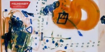 Yolculun el bagajında 120 cm boa yılanı çıktı