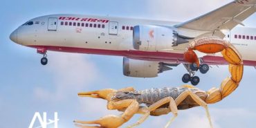 Uçakta yolcuyu akrep soktu. Havayolu şirketinden açıklama yapıldı