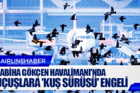 Sabiha Gökçen Havalimanı'nda uçuşlara 'kuş sürüsü' engeli
