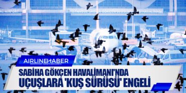 Sabiha Gökçen Havalimanı’nda uçuşlara ‘kuş sürüsü’ engeli