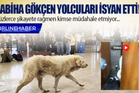 Sabiha Gökçen havalimanı yolcuları isyan etti! Yüzlerce şikayete rağmen kimse müdahale etmiyor...