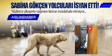 Sabiha Gökçen havalimanı yolcuları isyan etti! Yüzlerce şikayete rağmen kimse müdahale etmiyor…