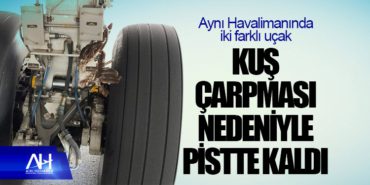 Aynı Havalimanında iki farklı uçak kuş çarpması nedeniyle pistte kaldı 1 Haberler kuş Aynı Havalimanında iki farklı uçak kuş çarpması nedeniyle pistte kaldı