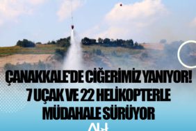 Çanakkale'de ciğerimiz yanıyor! 7 uçak ve 22 helikopterle müdahale sürüyor