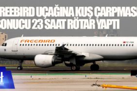 Freebird uçağına kuş çarpması sonucu 23 saat rötar yaptı