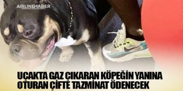 Uçakta gaz çıkaran köpeğin yanına oturan çifte tazminat ödenecek 4 Haberler TUSAŞ Uçakta gaz çıkaran köpeğin yanına oturan çifte tazminat ödenecek