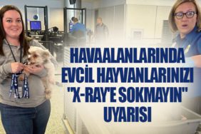Havaalanlarında evcil hayvanlarınızı "X-ray'e sokmayın" uyarısı