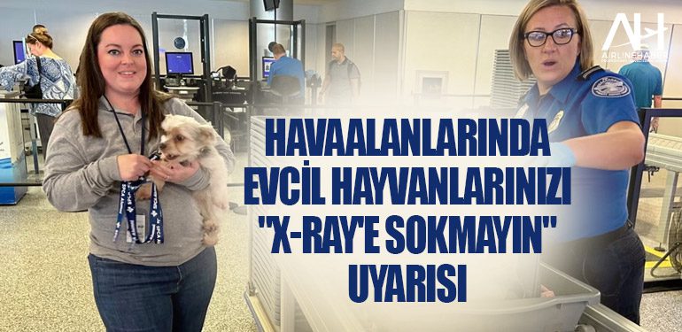 Havaalanlarında evcil hayvanlarınızı 