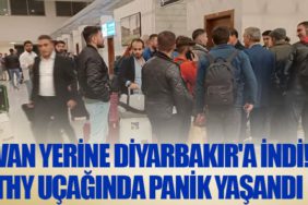 Van yerine Diyarbakır'a indi! THY uçağında panik yaşandı