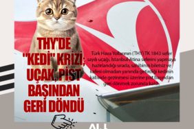THY'de "kedi" krizi; uçak, pist başından geri döndü