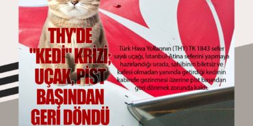 THY’de “kedi” krizi; uçak, pist başından geri döndü