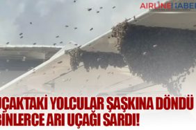 Uçaktaki Yolcular Şaşkına Döndü: Binlerce Arı Uçağı Sardı!