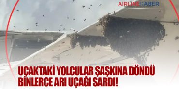 Uçaktaki Yolcular Şaşkına Döndü: Binlerce Arı Uçağı Sardı!