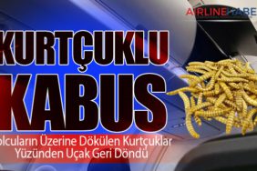 Kurtçuklu Kabus: Yolcuların Üzerine Dökülen Kurtçuklar Yüzünden Uçak Geri Döndü