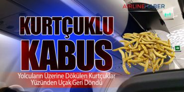 Kurtçuklu Kabus: Yolcuların Üzerine Dökülen Kurtçuklar Yüzünden Uçak Geri Döndü