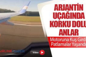 Arjantin Uçağında Korku Dolu Anlar: Motoruna Kuş Girdi, Patlamalar Yaşandı
