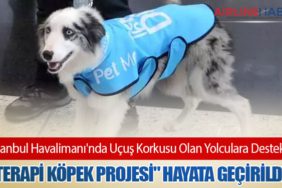 İstanbul Havalimanı'nda Uçuş Korkusu Olan Yolculara Destek: "Terapi Köpek Projesi" Hayata Geçirildi