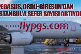 Pegasus, Ordu-Giresun'dan İstanbul'a Sefer Sayısı Artıyor