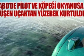 ABD'de Pilot ve Köpeği Okyanusa Düşen Uçaktan Yüzerek Kurtuldu