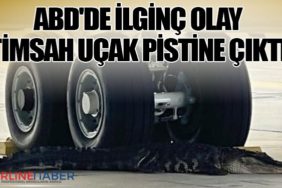 ABD'de ilginç olay: Timsah uçak pistine çıktı