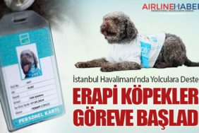 İstanbul-Havalimanı'nda-Yolculara-Destek-Terapi-Köpekleri-Göreve-Başladı