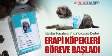 İstanbul Havalimanı’nda Yolculara Destek: Terapi Köpekleri Göreve Başladı