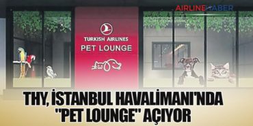 THY, İstanbul Havalimanı’nda “Pet Lounge” açıyor