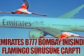 Emirates B777 Bombay inişinde flamingo sürüsüne çarptı 