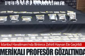 İstanbul Havalimanı'nda Binlerce Zehirli Hayvan Ele Geçirildi: Amerikalı Profesör Gözaltında