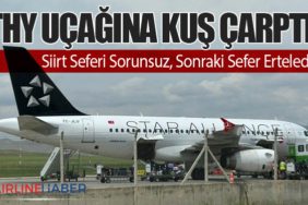 THY Uçağına Kuş Çarptı: Siirt Seferi Sorunsuz, Sonraki Sefer Erteledi