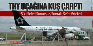 THY Uçağına Kuş Çarptı: Siirt Seferi Sorunsuz, Sonraki Sefer Erteledi