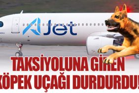 Taksiyoluna Giren Köpek Uçağı Durdurdu!