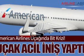 American Airlines Uçağında Bit Krizi! Uçak Acil İniş Yaptı