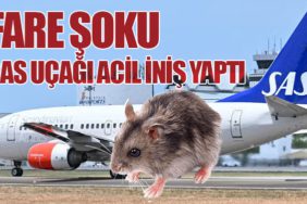 Fare Şoku: SAS Uçağı Acil İniş Yaptı