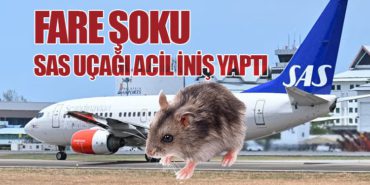 Fare Şoku: SAS Uçağı Acil İniş Yaptı