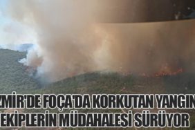 İzmir'de Foça'da Korkutan Yangın: Ekiplerin Müdahalesi Sürüyor