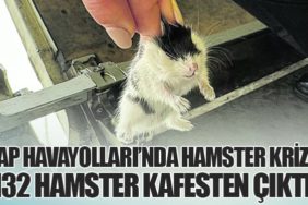 TAP Havayolları’nda Hamster Krizi: 132 Hamster Kafesten Çıktı