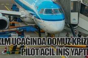 KLM Uçağında Domuz Krizi: Pilot Acil İniş Yaptı