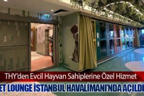THY’den Evcil Hayvan Sahiplerine Özel Hizmet: Pet Lounge İstanbul Havalimanı’nda Açıldı!