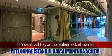 THY’den Evcil Hayvan Sahiplerine Özel Hizmet: Pet Lounge İstanbul Havalimanı’nda Açıldı!