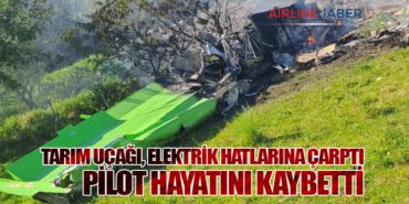 Tarım Uçağı, Elektrik Hatlarına Çarptı: Pilot Hayatını Kaybetti