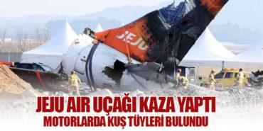 Jeju Air Uçağı Kaza Yaptı: Motorlarda Kuş Tüyleri Bulundu